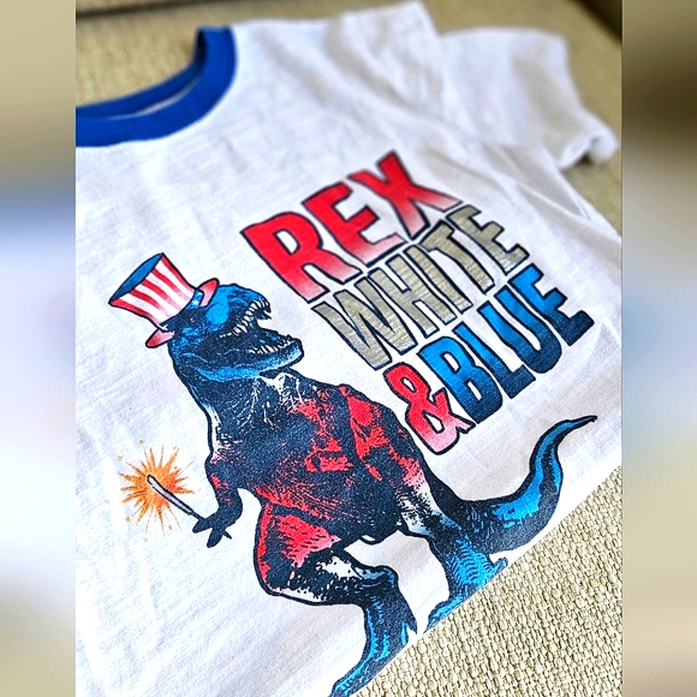 Patriotic Kids Dinosaur Graphic Tee